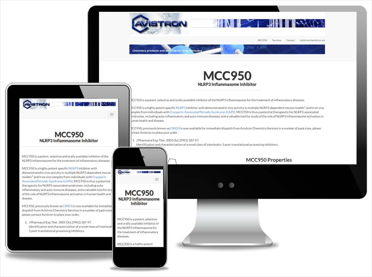 web design cornwall - MCC950